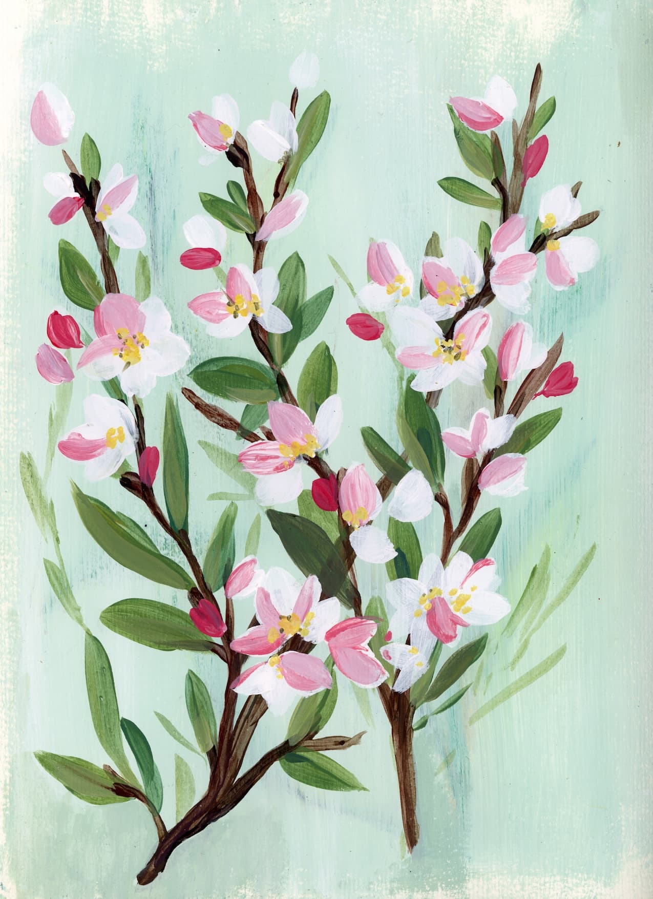 Cherry Blossom