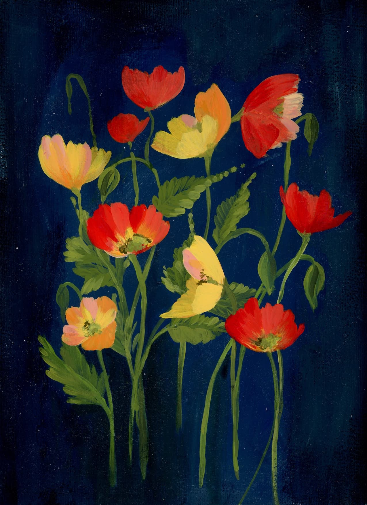 Dark Poppies