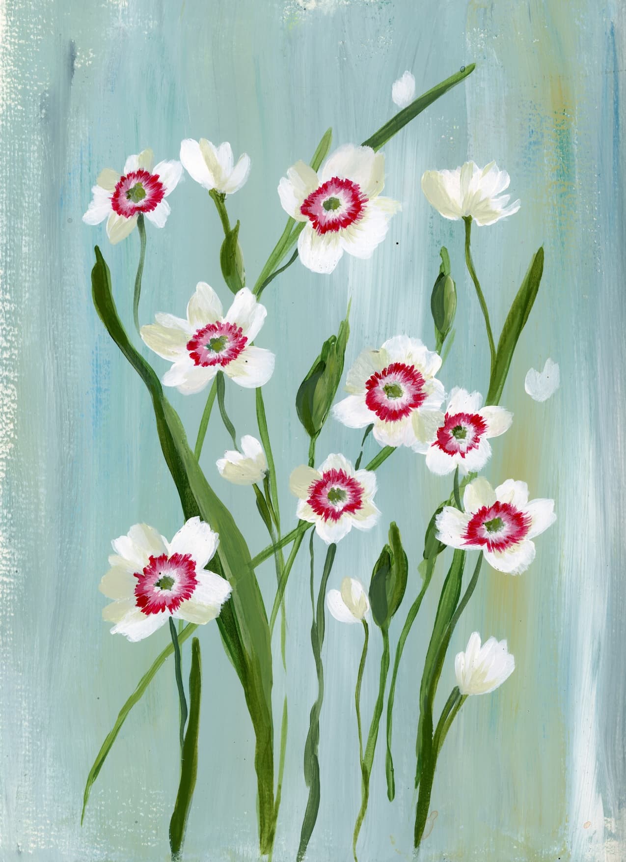 Dianthus