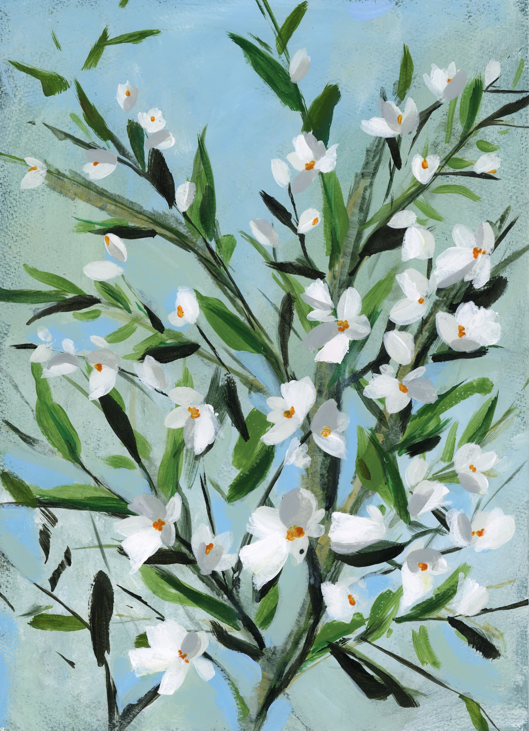 Early Blossom