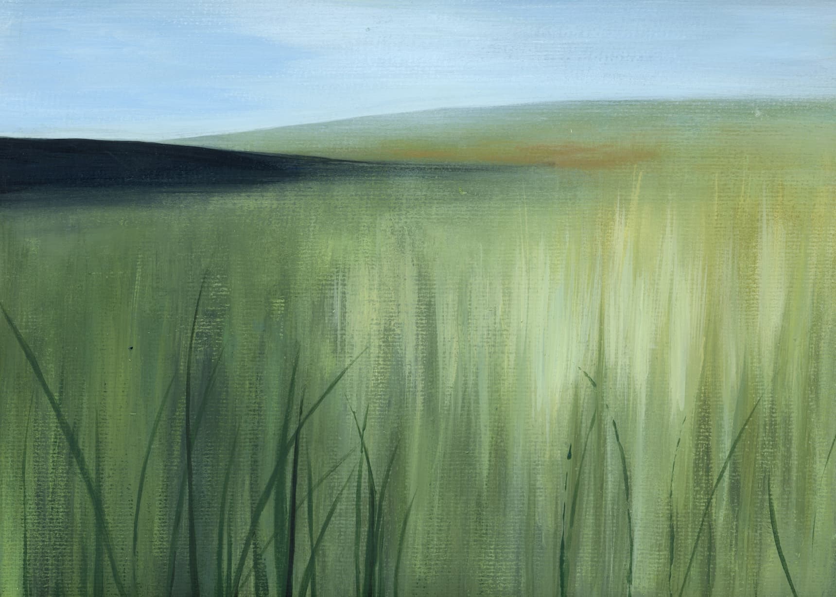 Meadow