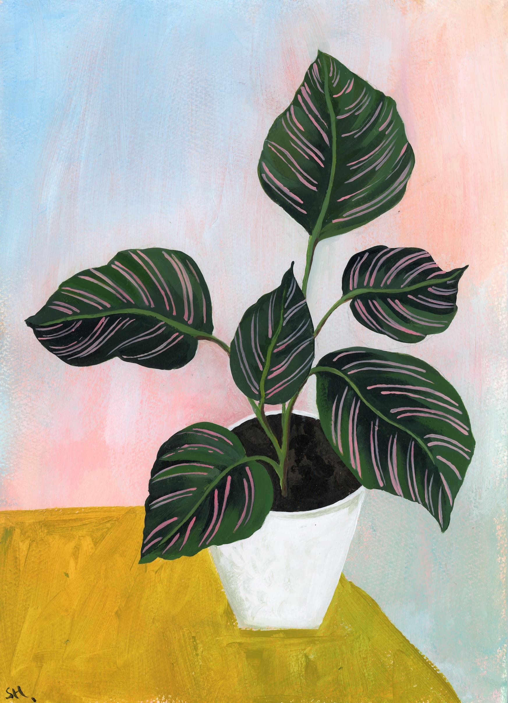 Plant Still Life