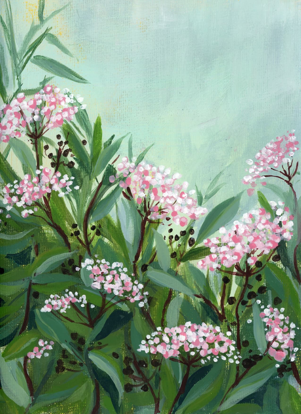 Wild Flowers